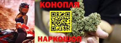 сатива Будённовск