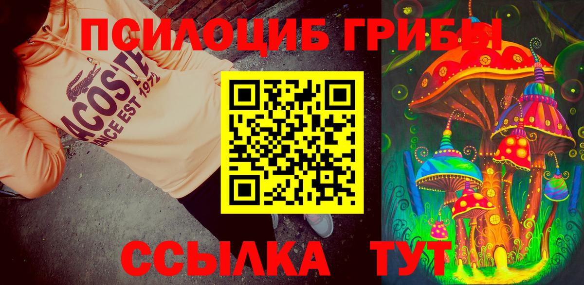 Псилоцибиновые грибы GOLDEN TEACHER Улан-Удэ