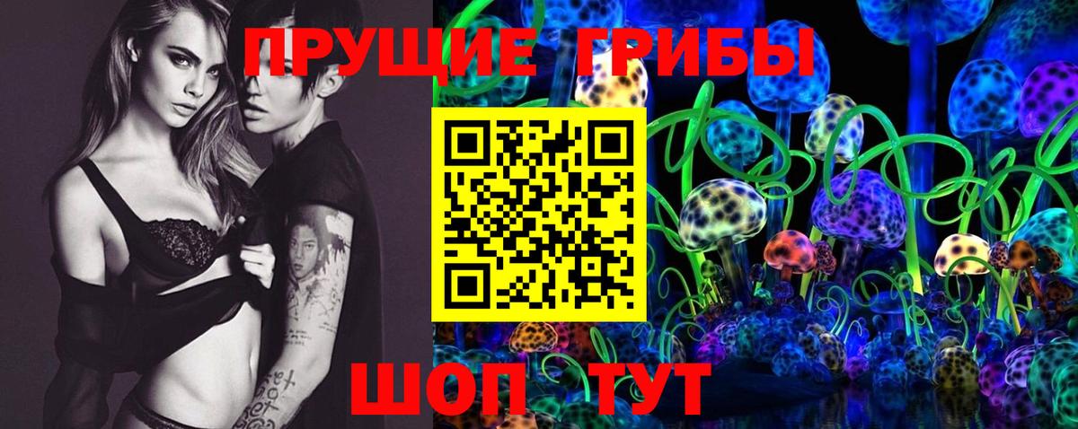 Галлюциногенные грибы Psilocybine cubensis  Вход с VPN  Псилоцибиновые грибы Psilocybine cubensis  Улан-Удэ 