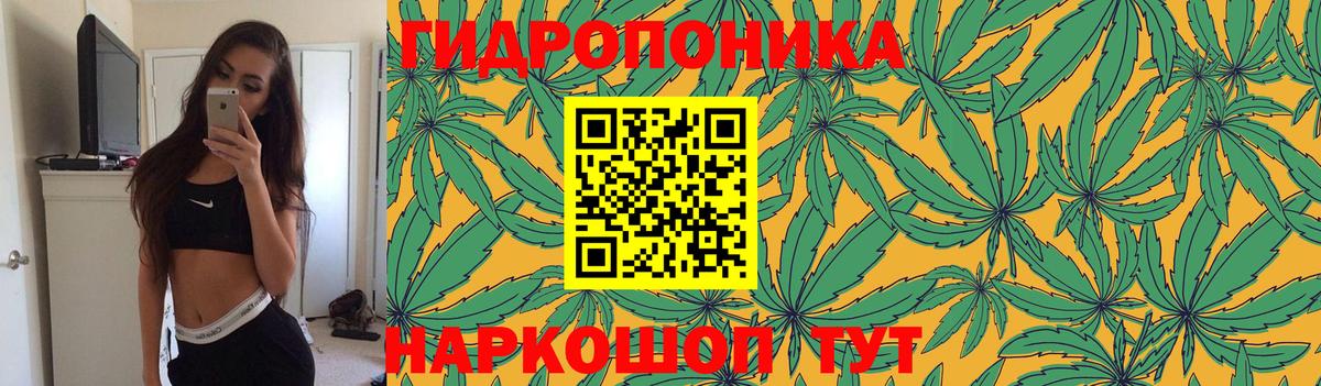 Улан-Удэ  Бошки Шишки сатива  Конопля LSD WEED  Конопля семена  Вход с VPN  Бошки Шишки THC 21% 